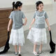 Girls' fashionable sweet lace skirt 2025 summer new Korean version of children's versatile egg skirt 150