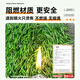 Linya simulated lawn bedding, artificial plastic, fake turf, artificial carpet, balcony outdoor fence, kindergarten decoration, green, green base, 2 cm - encrypted premium spring grass, 2 meters wide * 9 meters long