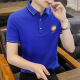 FJLT轻奢高档品牌polo衫男士T恤夏季新款时尚短袖翻领商务透气上衣 F6628（绿色） 2XL (建议140-160斤)