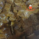 Food and happiness [1047 people collect] Bazhong City Enyang Ancient Town Specialty Grandma Gong Five-spice Dried Tofu-Spicy Delicious, Spicy 3 Bags