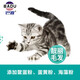 Osabadu Cat Food 1.5kg Beef Stick Bone Series American Shorthair and British Shorthair Puppet Folding Ears Full Price Full Period Universal Fish Flavor 3Jin Jin is equal to 0.5kg Fish Flavor (10 bags free of charge) 1.5kg