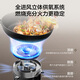 
Famous (MQ) Liquefied Gas Gas Stove 5.0kW Large Firepower Stainless Steel Panel Fire Stove Household Table-Inlaid Dual-Use Gas Stove Double Stove First-Level Energy Efficiency JZY-A6210G