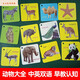 Shantoulin Village Children's Animal Cognitive Card Teaching Aids Aids Pictures et identifier les choses Personnages et modèles Livres raccroche bébé