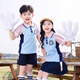 芮梦华小学生夏装校服儿童运动班服毕业演出园服 6623红色 男款(短袖+短裤) 100