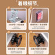 Jingyan Fabricación inteligente Máquina de fideos totalmente automática Press Electric Noodle Press multifuncional de acero inoxidable Máquina de rollito de fideos Dumpling Machine de fideos Vapor Vapor Bun