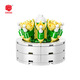 
Shantoulin Village plant building blocks and flowers cute small ornaments DIY assembly toy wholesale XJ-10975(C) Lingboxian