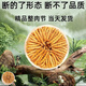 Cordyceps Sinensis Big Broken Grass Pure Festival Festival de viande abordable Authentique Big Broken Grass 50G Boîte cadeau pour un cadeau pour votre propre usage. Festival authentique de la viande fine à Nagqu, Tibet 10G