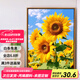 Jingzuo (Jingzuo) Sunflower Digital Huile Peinture DIY Coloriage peinture salon suspendu peinture décorative peinture à l'huile peinte à la main