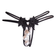 Sexy temptation oversized pearl size beaded panties thong embroidered flowers black women thin black M80120Jin Jin equal to 0.5kg