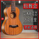 Autre ukulélé débutant 23 pouces Piano Pratique pour les étudiants masculins et féminins débutants 26 Small Guitar Ukulele Color Basswood Gift Pack 26 pouces