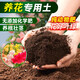 Flower nutrition soil flower mud for flower cultivation soil orchid soil planting soil coconut brick rose rose gardenia special fertilizer nutrient soil 5Jin Jin equals 0.5 kg special for flowers