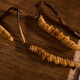 Guancaigui [Naru Qu, Tibet] Wild Cordyceps Sugar Sugar Supplements for Elders Nutrition Gift Box Cordyceps Gift Practical [4 roots/g] 5 grams of freshly tasted 20 roots (give one artificial grass for comparison