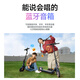 Ninebot Scooter électrique C2Pro Scooter NineBot Car adulte étudiant mini corps portable Car voiture pliable Caro à deux roues électrique [nouvelle version] C2Pro Blue Rose