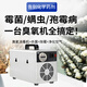 Fenrui Fenrui ozone disinfection machine generator home decoration formaldehyde removal food factory small air sterilization purifier 40g small ozone disinfection machine smart time period timing model