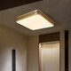 Leshi (NVC) 2025 Nuevo 2025 NUEVA Luz de techo al aire libre Puerta impermeable a prueba de agua Villa china Villa de entrada de cobre Luz de entrada 1W X3891/Round 30 cm/Tres colores Ajustable