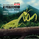 Mantis Fernbedienungssimulation Reptile Streichinsekten-Primar- und Sekundarschüler Spielzeug 3-7-8-12-jähriges Jungen und Mädchen klassische Version-Fernbedienungskontrolle Centipede Gelb und Schwarzes Modell 9901+ Snail upgradierte Version mit 22 Elektronik
