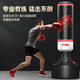 Li Ning boxing training equipment sandbag tumbler sandbag home adult vertical children's Sanda martial arts fighting