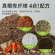 Jinyate crawling pet coconut soil hermit crab coconut soil turtle snail moisturizing mat horned frog mud spider gecko moss coconut soil 6L