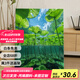 京佐（JINGZUO）荷塘风景数字油画diy填充涂色成人手工绘打发时间丙烯油彩画 qz3527 30*40cm实木内框+画笔颜料