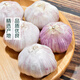 Approximately 250g of purple-skinned garlic harvested directly from the production area