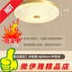 Villa entrance ceiling light outdoor waterproof insect-proof corridor corridor outdoor balcony lamp radar sensing garage light X3895-40cm/three-color light