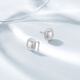 Chao Acer Bo Ya Fangyuan platinum earrings for women PT950 earrings with brushed geometry as a gift for your girlfriend. Priced labor cost 290 yuan, 2g, one pair (free silicone earplugs)