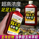 Zhizunfang Concentrated Sweet Corn Flavor Fishing Bait Special Small Medicine for Crucian Carp and Grass Carp Wild Fishing Black Pit Fish Lure Additive Sweet Corn Flavor*2 Highly Concentrated and Long-lasting Fish Lure