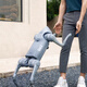 Yushu (Unitree) Go2 AI Big Model Robot Dog Go2 Electronic Dog Intelligened Companion Companion Robot Robot de cuatro patas Dog GO2-Air