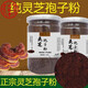
Beijing Tongrentang Pangdonglai Quality Head Dao Break Wall Ganoderma Lucidum Powder Spore Powder Authentic Spore Powder 500g Jingdian Dongzi Flagship Camp Ganoderma Lucidum Spore Powder [Buy one get one get one for a total of 500g