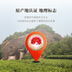 七春 乌龙茶茶叶 大红袍2025新茶武夷岩茶罐装500g茶叶自己喝 送长辈