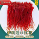 Beijing Tongrentang Irán Importado Azafrán Tienda Oficial Auténtica Insignia Special Tíbet Auténtica ASAFFRON Materiales medicinales chinos para hacer té [excelente auténtico] ASFAFRO AUTENTICO 1G*10 botellas