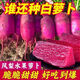 This year's new variety of pineapple fruit radish seeds can be sown raw in the summer. Purple beauty radish and rouge radish seeds can be sown in the summer. New products on the market. Original 4 packs (600 grains).