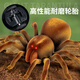 Genius Beibei (tianibebei) Grande télécommande araignée luxueuse réelle modèle pour enfants Pénérale électronique Prank effrayant jouet électrique Gift Crawling Gift Induction Spider-Brown 9902B + Tournevis Norme officielle Standard