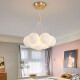 Sala de estar LED de zunyi restaurante principal restaurante nordic creative crema style lámpara de techo de dormitorio paquete combinado de casa entera 9734-negro 7-cabeza de tres colores cambia de color 12 cm