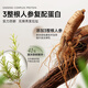 弹动【范丞丞同款】人参洗发水控油防断发去屑修护舒缓头皮温和洗头膏