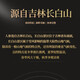 Fresh Ginseng, SC Food Grade, Ginseng, Fresh Ginseng, Changbaishan Specialties, Brei, Suppe, Tee und Wein, ein ganzes Stück etwa 3G*1 -Tasche (neues Kunden Wohlbefinden)