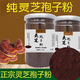 Materia de materia prima Cabeza de polvo Dou Break pared Ganoderma Lucidum Polvo esporas Polvo Autentic Spore Oil 500g Ganoderma Lucidum Spore Powder [100G]