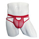Lism sexy ropa interior pantalones thong de hombres sexy calzones de ropa interior sexy mesh transparente de personalidad de personalidad expuesta