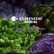 
Panasonic refrigerator six-door NRF673WXX5 air-cooled frost-free Nanometer X odor removal black mirror NR-F673WX-X5