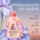Liby Master Fragrance Laundry Detergent Iris Lavender 15 Jin Jin is equal to 0.5 kg, South French romantic perfume grade fragrance, long-lasting fragrance