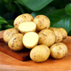 Jingxiansheng Shandong fresh small potatoes net weight 3Jin Jin is equal to 0.5kg, single fruit is more than 100g, freshly dug yellow heart potatoes and vegetables are sent directly from the source