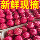 Authentic Guangxi Jindu No. 1 dragon fruit, freshly picked, straight and super sweet, 2 pieces (single piece 200g-300g)