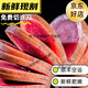 Deer field is now cut straight and fresh deer antler pruned in the middle section of fresh Jilin deer antler slices with blood and blood slices first two stubble wine and medicinal materials Sika deer antler head (100 grams) soak 5-10 Jin [Jin equals 0.5 kg]