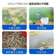 Yuntianhua genuine potassium dihydrogen phosphate for aquaculture fish ponds and shrimp ponds rooting to promote root mulch water-soluble fertilizer agricultural fertilizer 50Jin Jin is equal to 0.5kg. One bag shipped. Authenticity guarantee. One bag, one code.