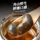 Sennongle Snail Emperor Yellow Snail Instant Canned Drunken Snail Fresh Extra Large Raw Pickled Wild Sand-Free Ningbo Zhoushan Specialty Large Particles Zhoushan Authentic Original Flavor 300g Net Weight