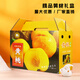 
10Jin[Jin equals 0.5 kg] Packing yellow peach gift box packaging box peach fresh golden yellow peach gift box fruit carton carton custom made 3895/blue fresh peach double-handed 8-10Jin[Jin equals 0.5 kg]