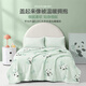 Jenseits von Home baby Boyang mütterlicherseits und Baby Milch Fleece Decke Kindergarten Nickerchen Nickerchen Dünne Deckeldecke Feder- und Herbstpanda Baby 100*120 cm