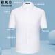 
CEO Yageol short-sleeved shirt for men pure cotton business casual formal wear professional white shirt DX6623 38 Suggested 110-115Jin [Jin equals 0.5 kg]