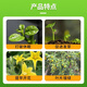Zheng's Chemical 98% Sodium Nitrophenate Original Powder Genuine Rooting, Strengthening Seedlings and Increased Production Agricultural Flower and Fruit Preservation Plant Growth Regulator 98% Sodium Nitrophenate 10KG