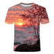 Il Jiagong Sunrise 3D T-shirt imprimé 2025 Nouvelle série Fashion Fashion Teenager Décolletery Clain à manches courtes TTW1423 S pour le poids 80-90Jin [Jin est égal à 0,5 kg]